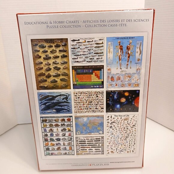 The Muscular System 1000 Piece Jigsaw Puzzle Eurographics New - Picture 4 of 7
